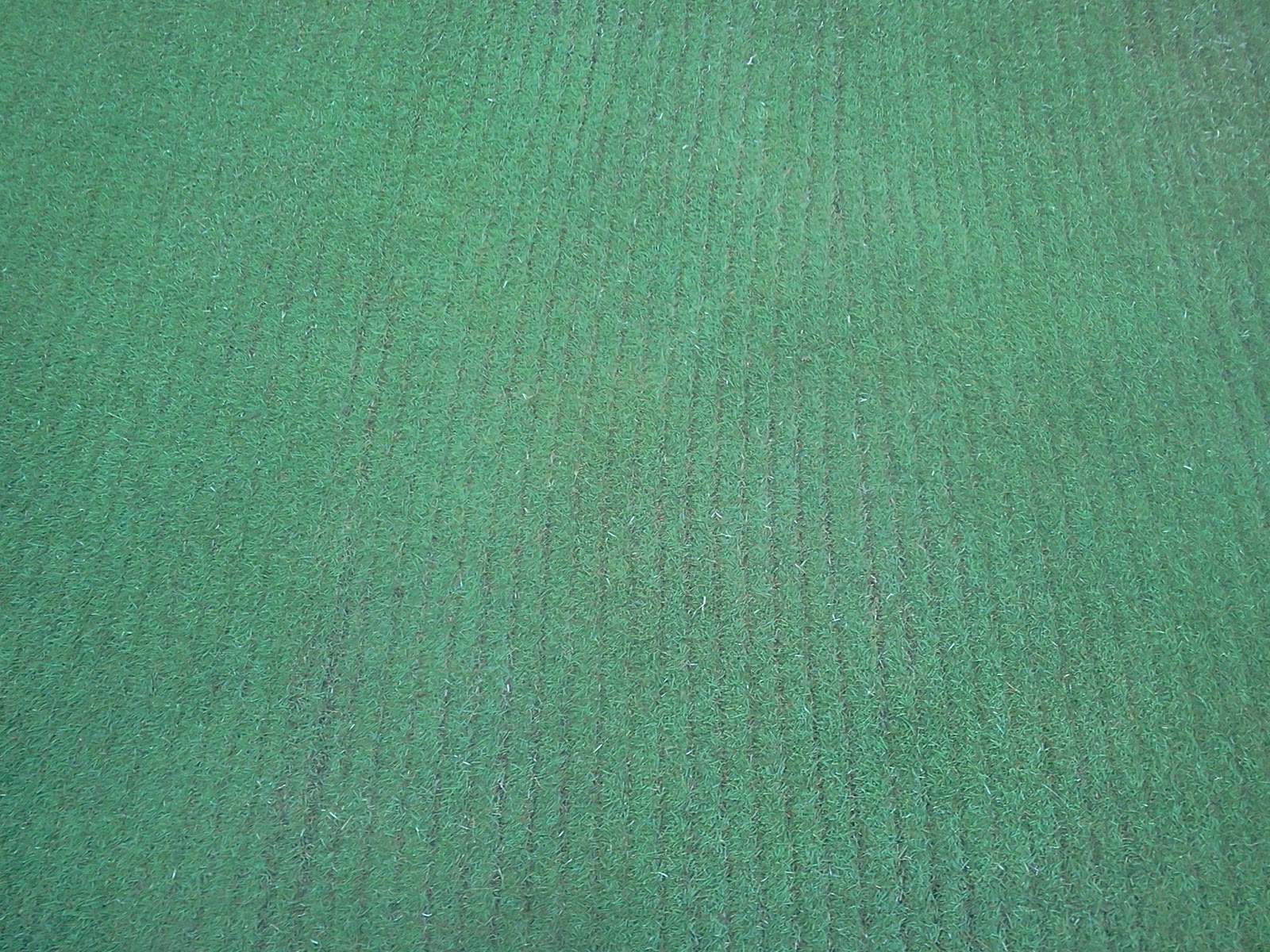 zorro zoysia