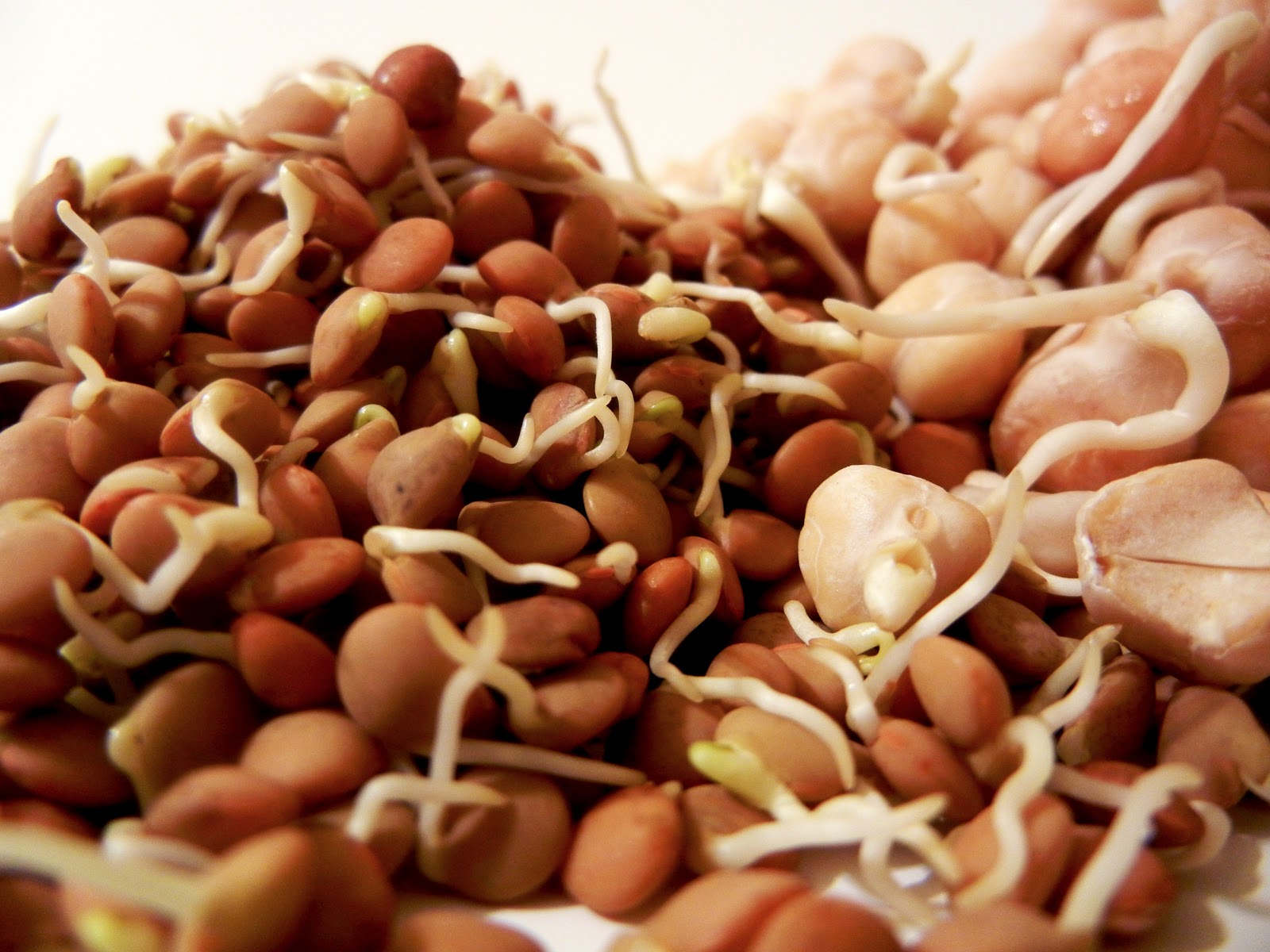 Derek's Kitchen Poached salmon with lentil salad