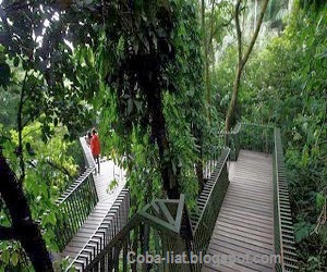 Hutan Kota Terindah dan Bersih Hutan Kota Terindah dan Bersih