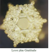 nov1 smlovegratitude - Hidden Messages in Water - The Power Of Our Words