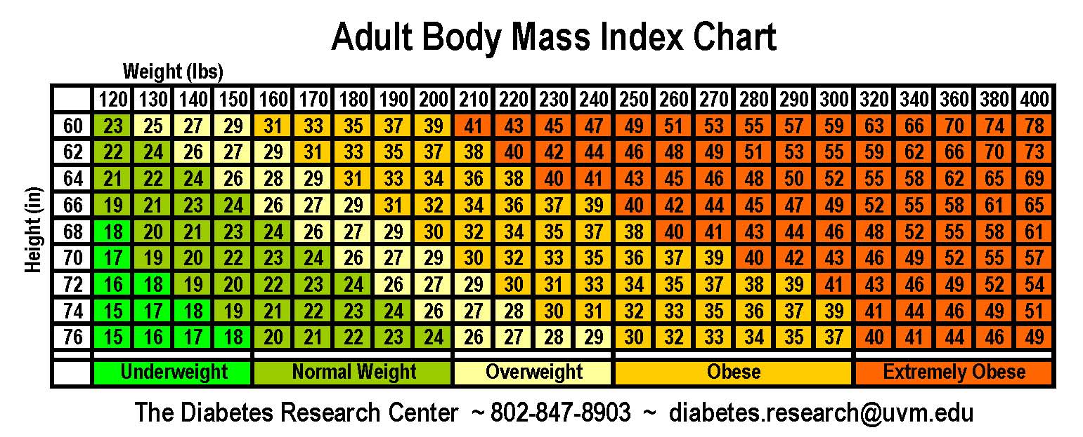 Bmi Body Mass Index Chart