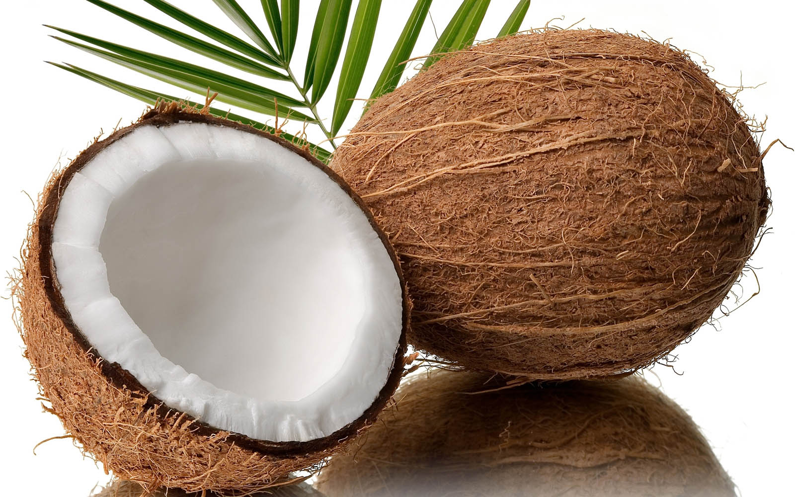 wallpaper Coconut Wallpapers
