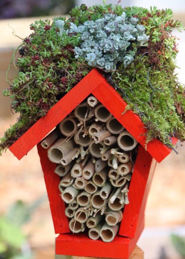 Build Your Own Ladybug House Build Your Own Ladybug House