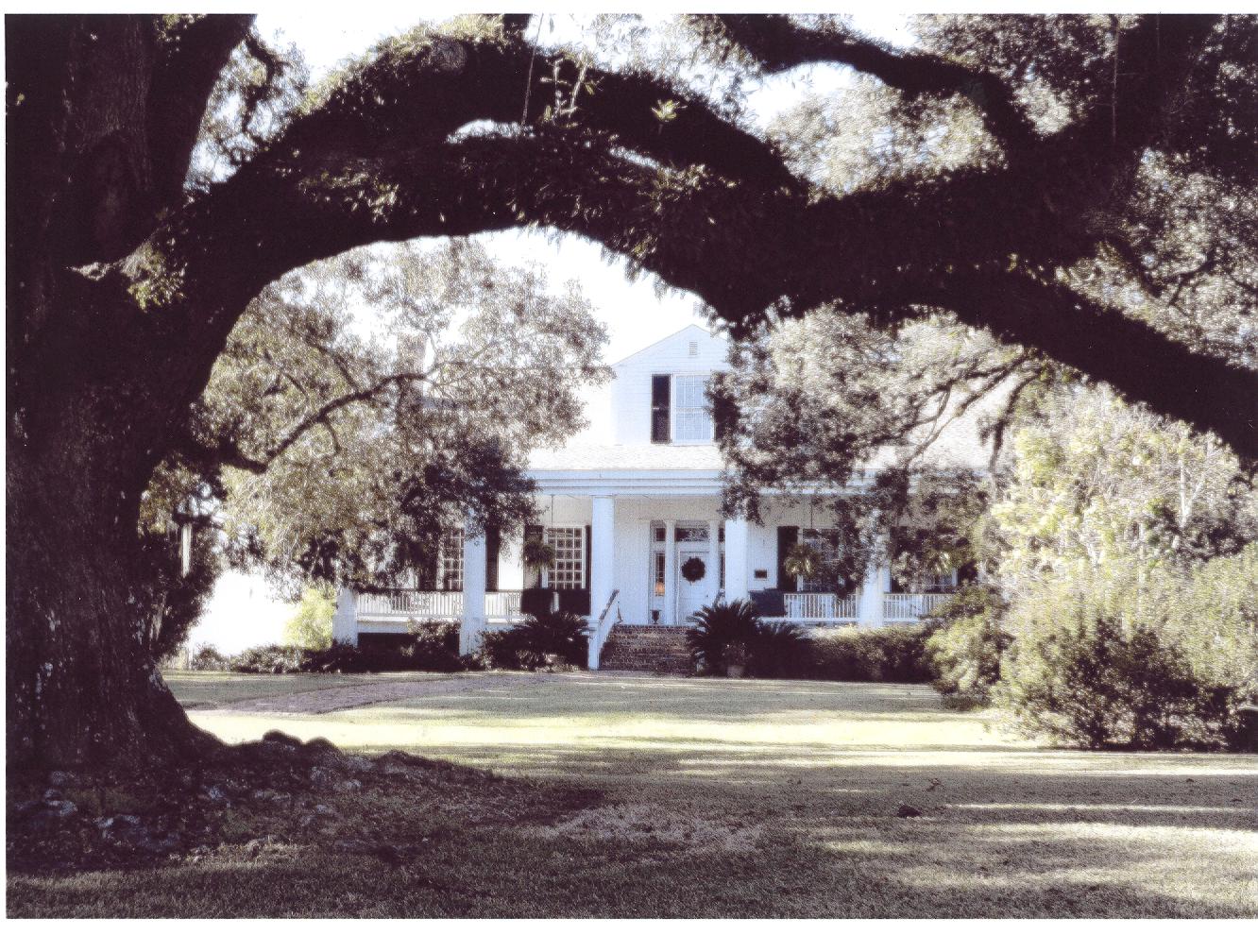 AFRICAN ROOTS Wakefield Plantation