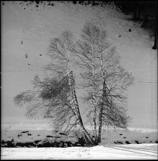 Im winterlichen Davos