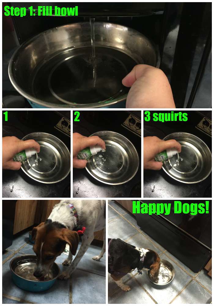 Life With Beagle Get your dog's breath TropiCleanfresh! Breath Drops