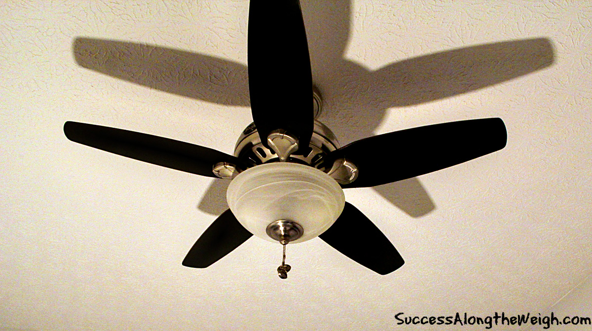 Success Along the Weigh DIY Project Repainting Ceiling Fan Blades