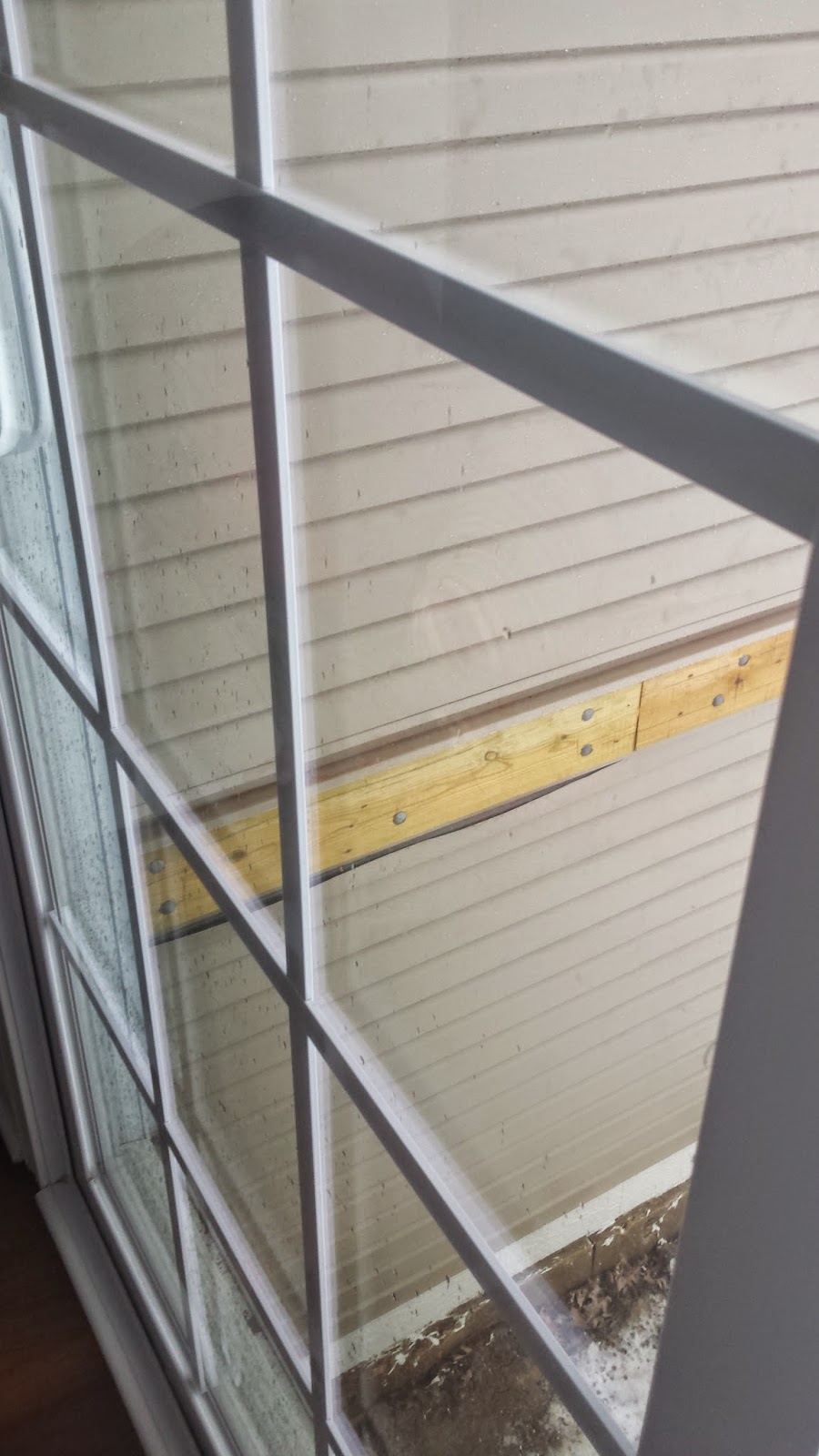 Bird In Everything Birds In Exhaust Vent