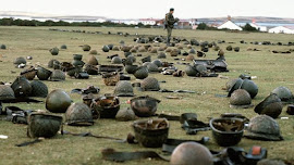 GUERRA DE LAS ISLAS MALVINAS (2/4/1982-14/6/1982)