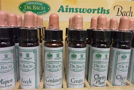 The Bach Flower Remedies can be taken alongside medication, ... The Bach Flower Remedies can be taken alongside medication, ...