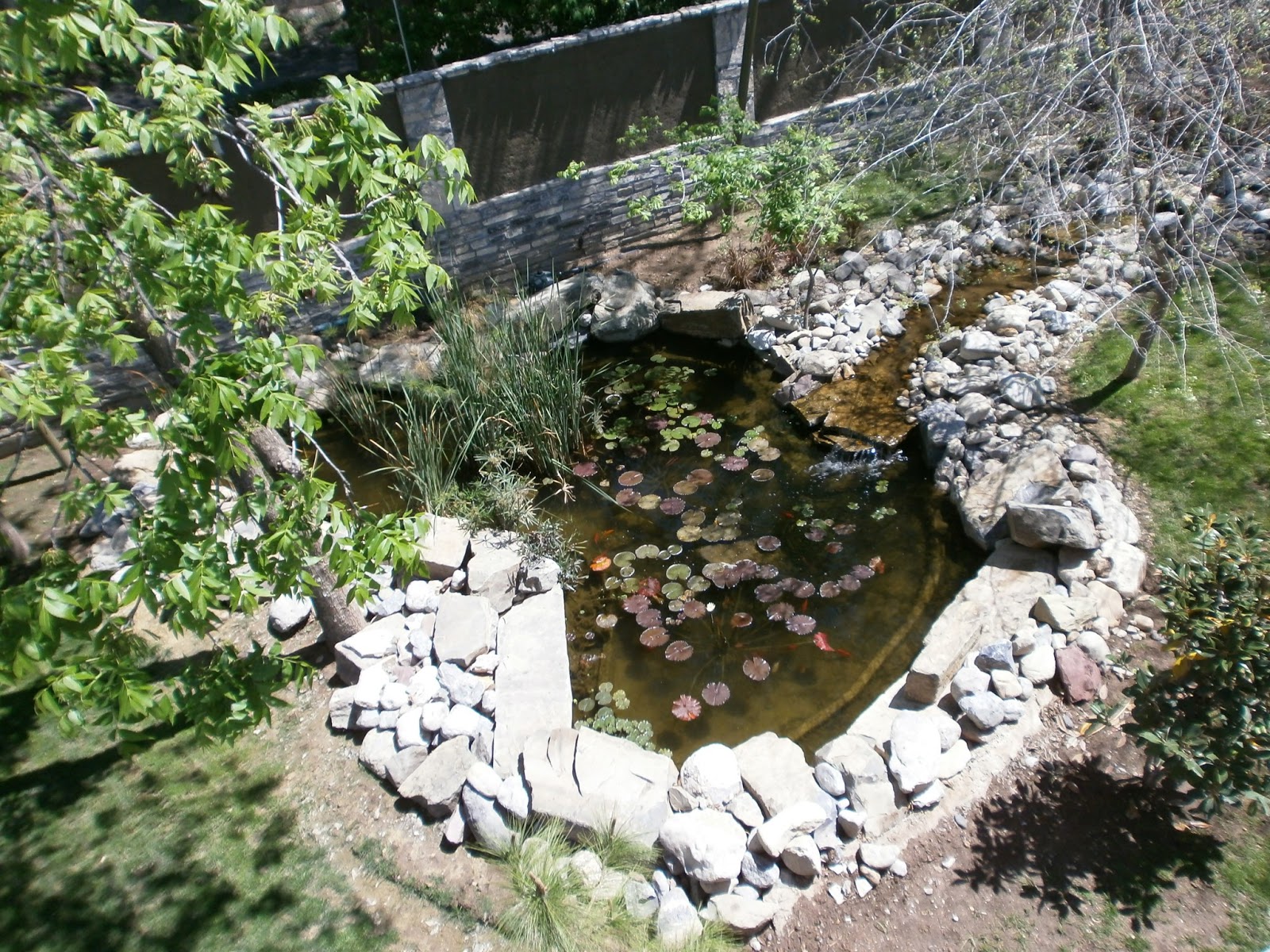 RIO Y LAGO ARTIFICIALES