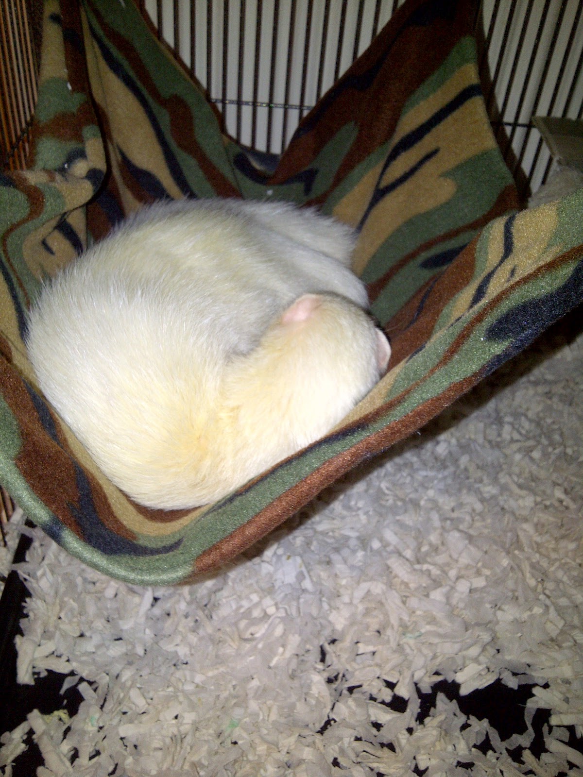 Ferret Dook Homemade ferret bedding Hammock