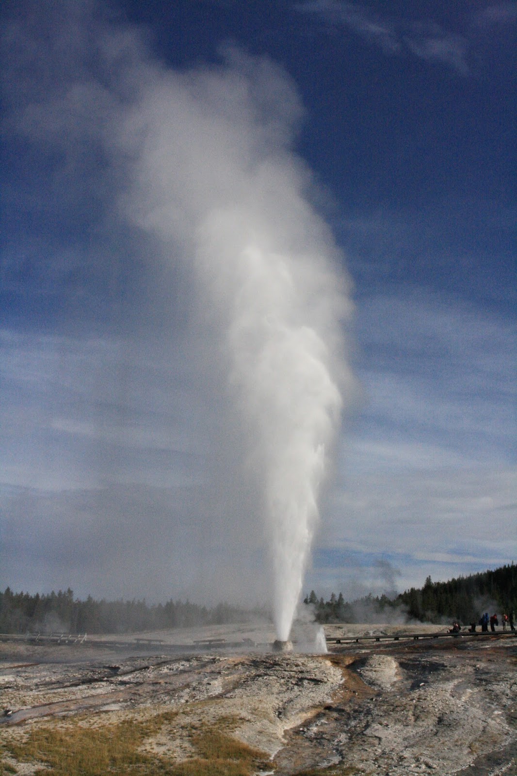 Nomadic Newfies Yellowstone Flashback Geysers Galore
