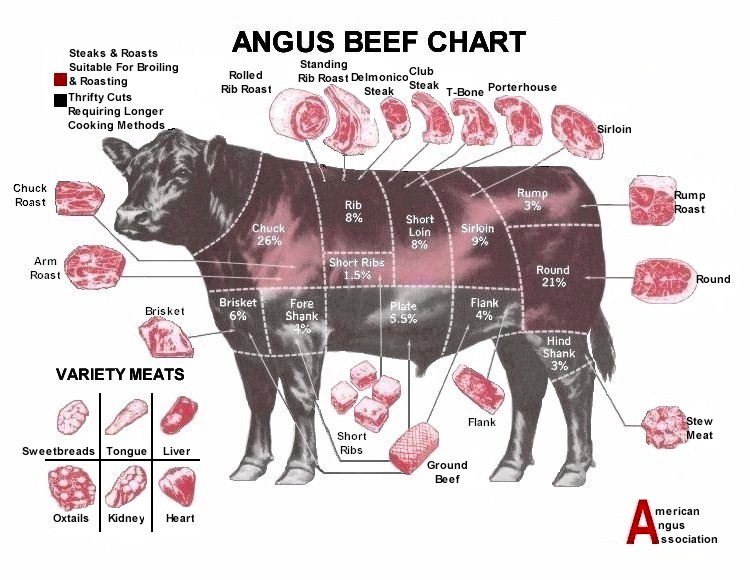 Different Cuts Of Beef Chart