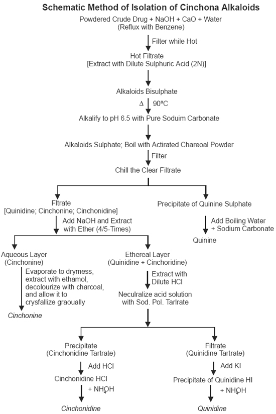 Schematic Method of Isolation of Cinchona Alkaloids