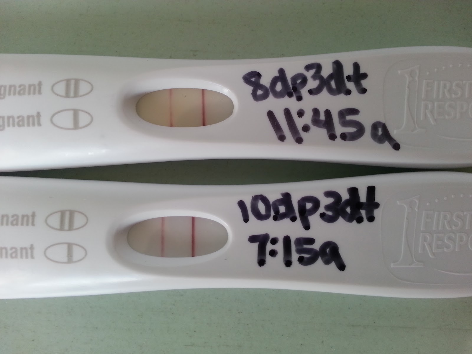 pregnant with iud yourself, chances pregnancy not ovulating