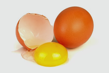 Kuning Telur. Medical Line