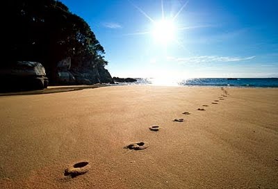 life's of meaning sailing o'er main solemn Running The I 'Cause Can't Poet: Fly: Wadsworth Henry life's of meaning sailing o'er main solemn Running The I 'Cause Can't Poet: Fly: Wadsworth Henry