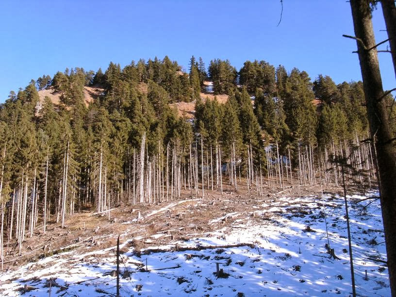 Bergheimat Osterfeuerspitze Mit Interessanter Aufstiegsvariante