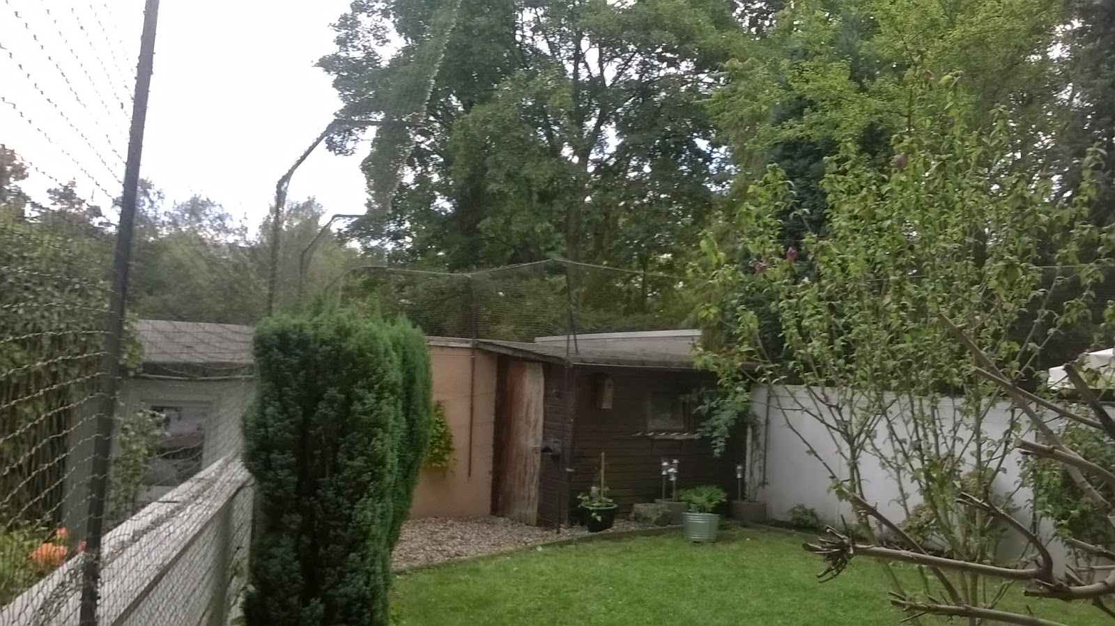 Katzennetz Nrw Die Adresse Fur Ein Katzennetz Garten Katzensicher