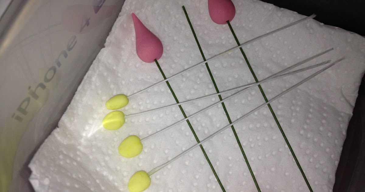 A Kick At The Pantry Door: Cake School Progress Update