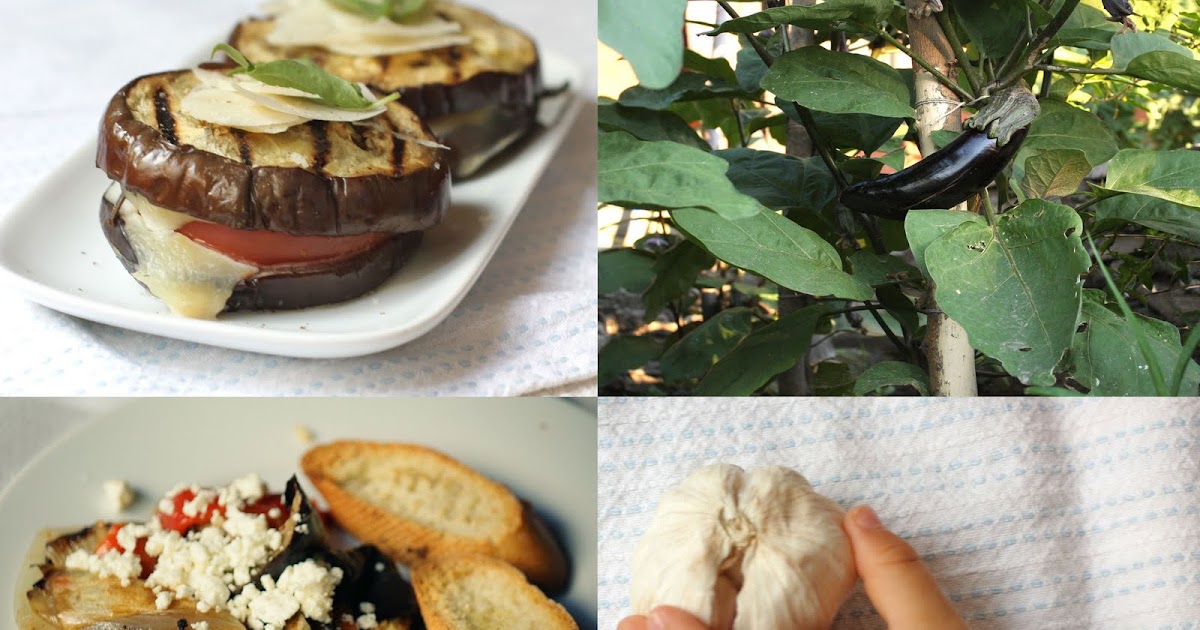 Dolce Fooda Eggplant & Garlic Heaven in Your Mouth