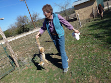 Mary carries fox