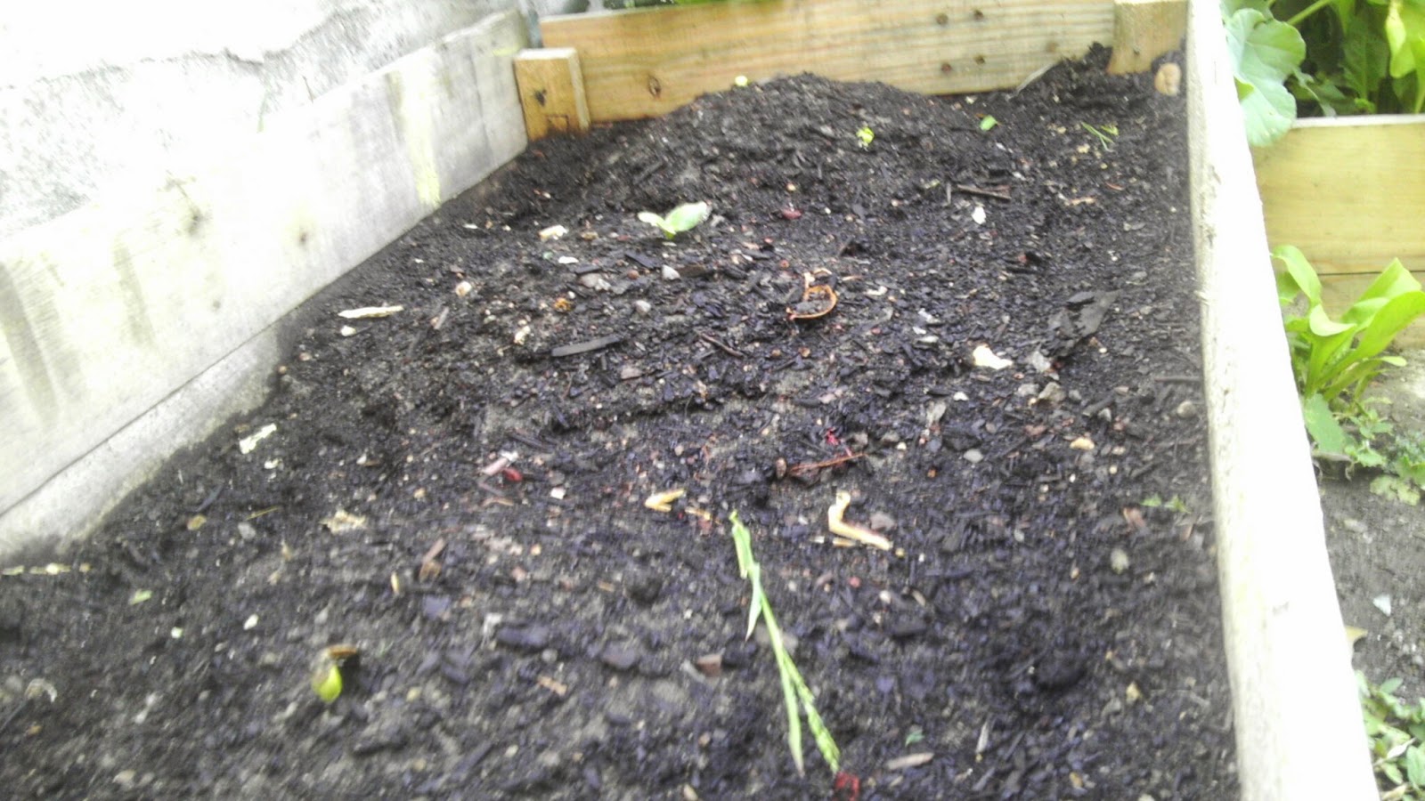 The Littlest Farm Mounds of Squash