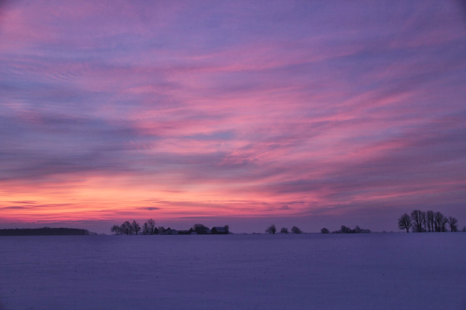 Isabella Conservation District Environmental Education Program Morning