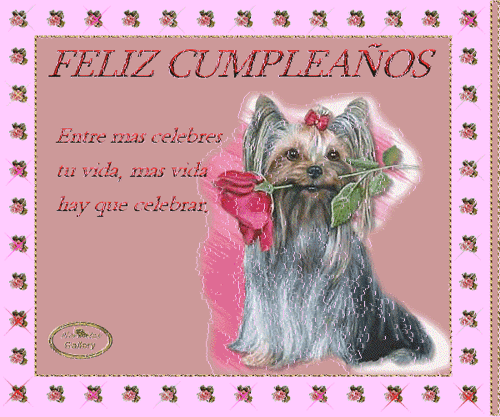 Pensando en ti el día de tu cumpleaños, y deseándote mucha