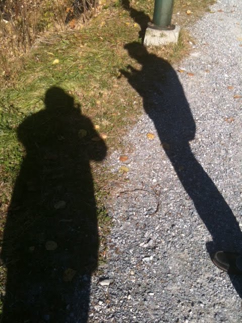 Blick Auf Fronfeste Und Stadtpfarrkirche Sankt Gallus In Bregenz