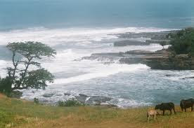 sdn 2 sukamerang PANTAI RANCABUAYA.