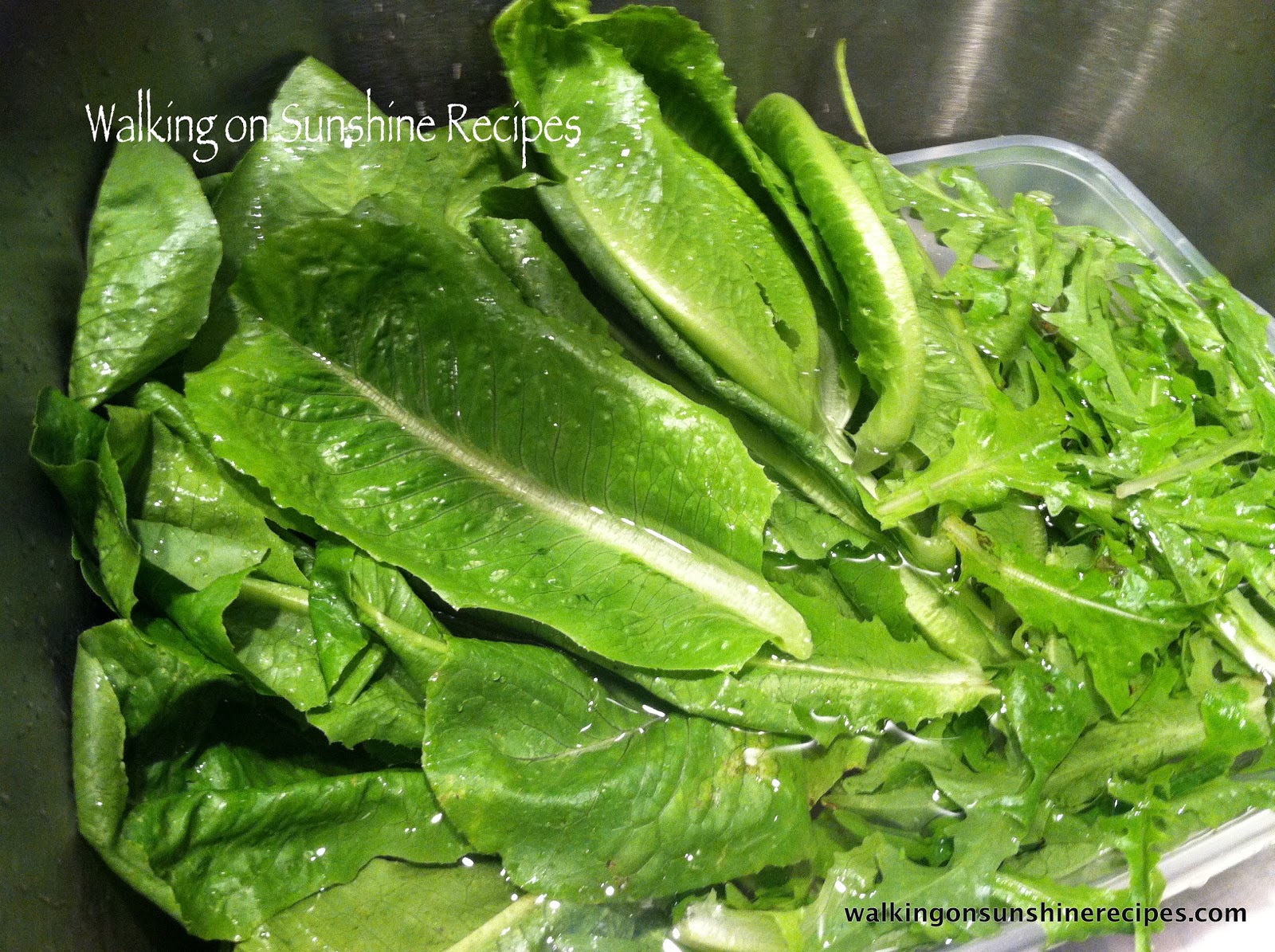 Tip Washing and Drying Lettuce Walking on Sunshine
