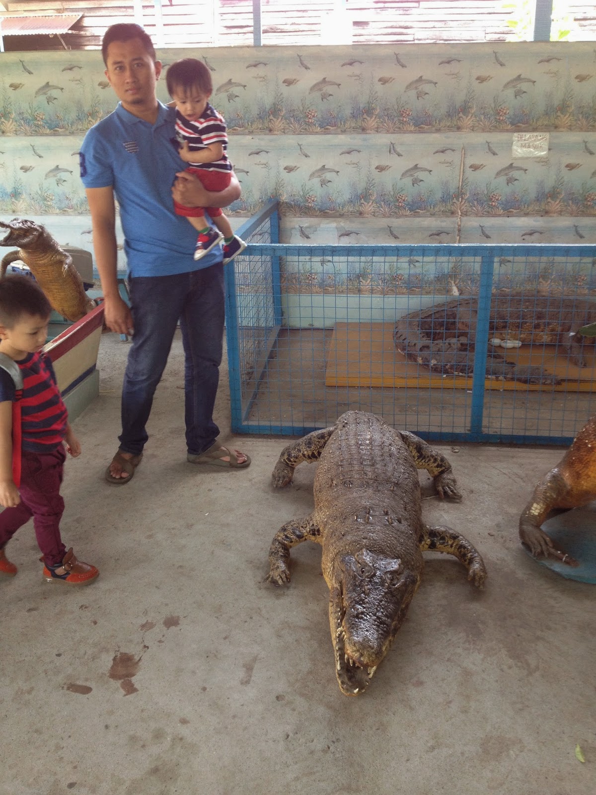 foto buaya makan orang - gambar binatang - foto buaya makan orang