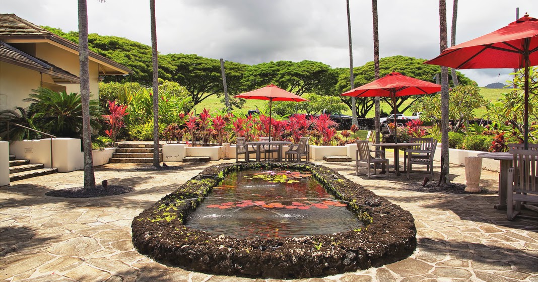 A Visual Treat From Maui Island of Hawaii