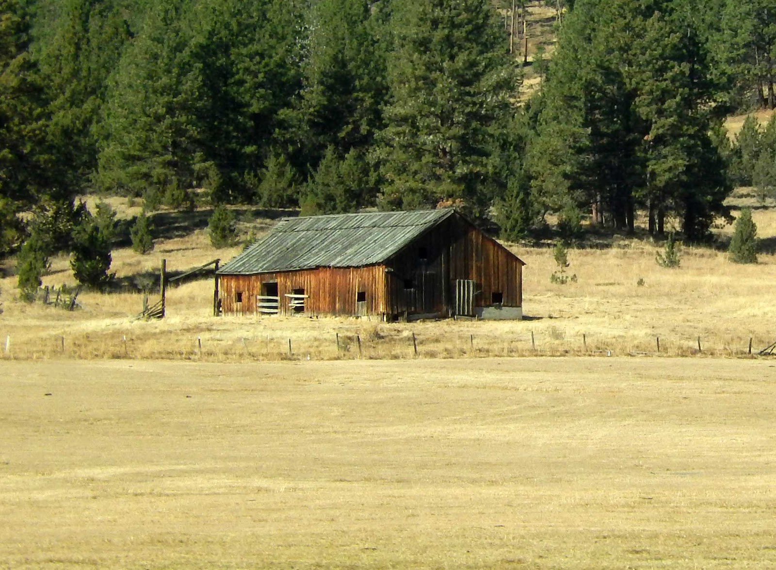 Cat Patches John Day, Oregon, to Home