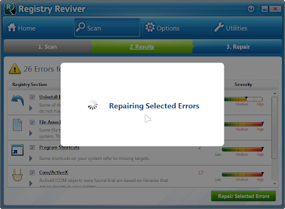   Registry Reviver 2013     3.png