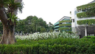 Parc de l'université de Singapour