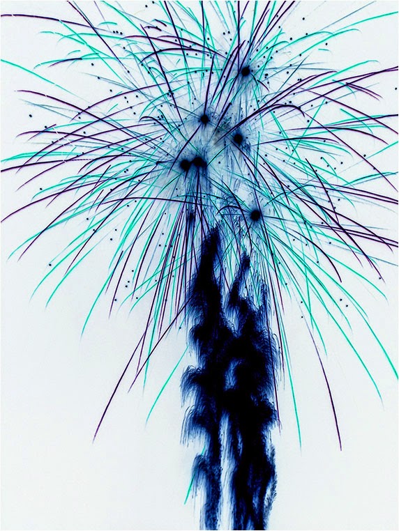 emerging photographers, Best Photo of the Day in Emphoka by Vegeta25, https://flic.kr/p/qonXPj emerging photographers, Best Photo of the Day in Emphoka by Vegeta25, https://flic.kr/p/qonXPj