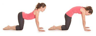 Pose Marjarasana Pose Marjarasana