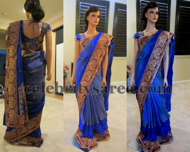Latest Pattern Blouse with Silk Sari