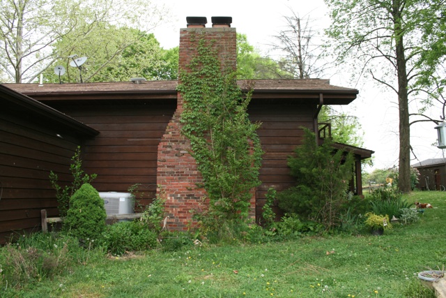 Spirea Instagram Posts Gramho Com