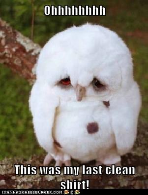funny-animal-captions-animal-capshunz-i-always-spill-on-myself-when-i-wear-white.jpg