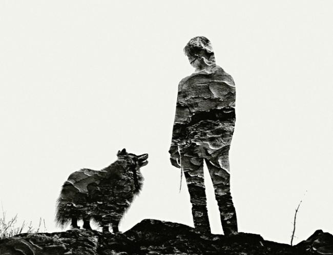 doga siyah beyaz golgeler tavizsiz