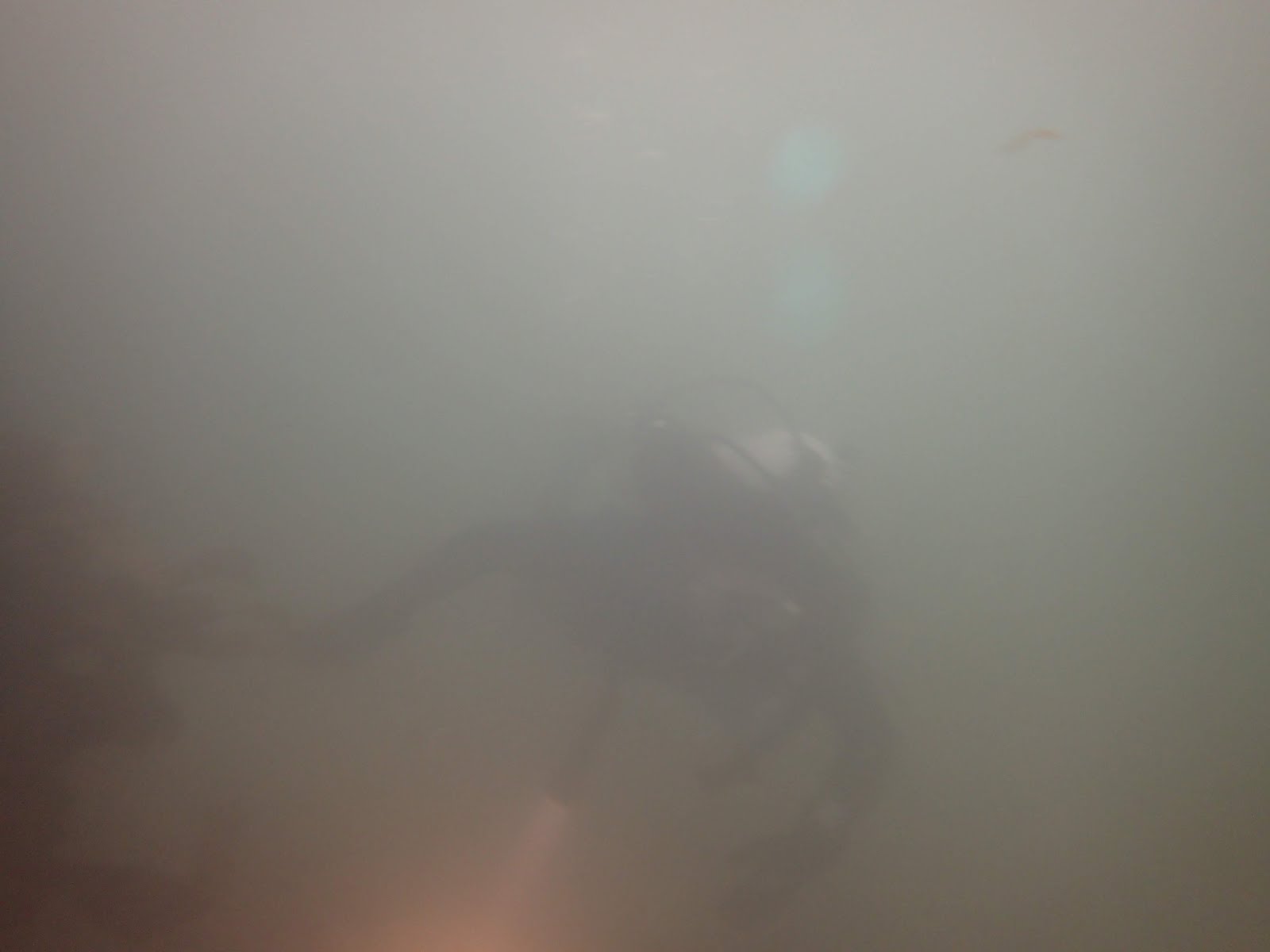 USC Catalina Hyperbaric Chamber Day 2019 + Bottom Scratcher Boat Dives