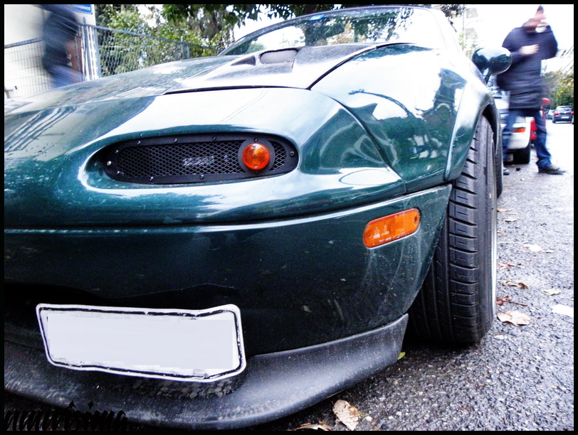 [Immagine: PC220580.JPG]