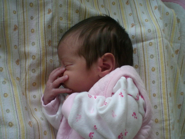 dogal anneyim blogger