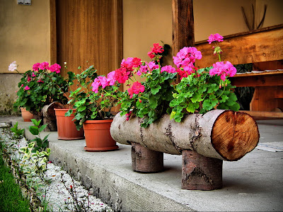 flower pot | Container gardening, Flower pots, Outdoor garden