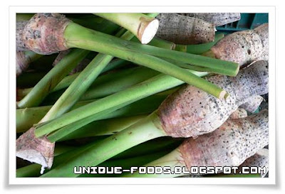 Delicious Lompong From Indonesia, Traditional Vegetable, Most Delicious Vegetable Lompong