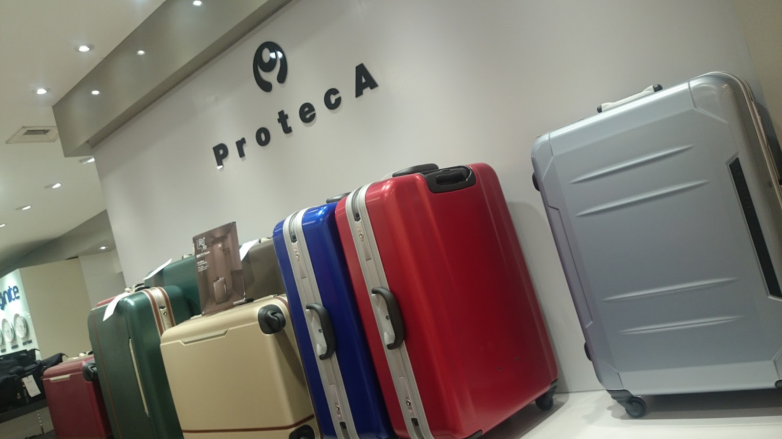 proteca suitcase